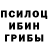 Галлюциногенные грибы мицелий Victor Dz