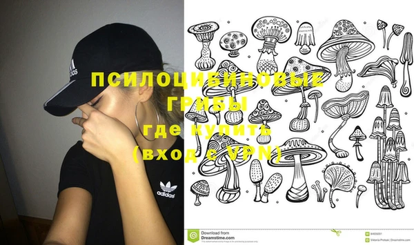 спиды Наволоки